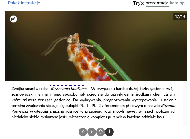 Zdjęcie przedstawia rozwinięcie dodatkowych informacji po naciśnięciu "i" w panelu dolnym. Ukazane jest zdjęcie motyla, a pod nim opis jego gatunku. 