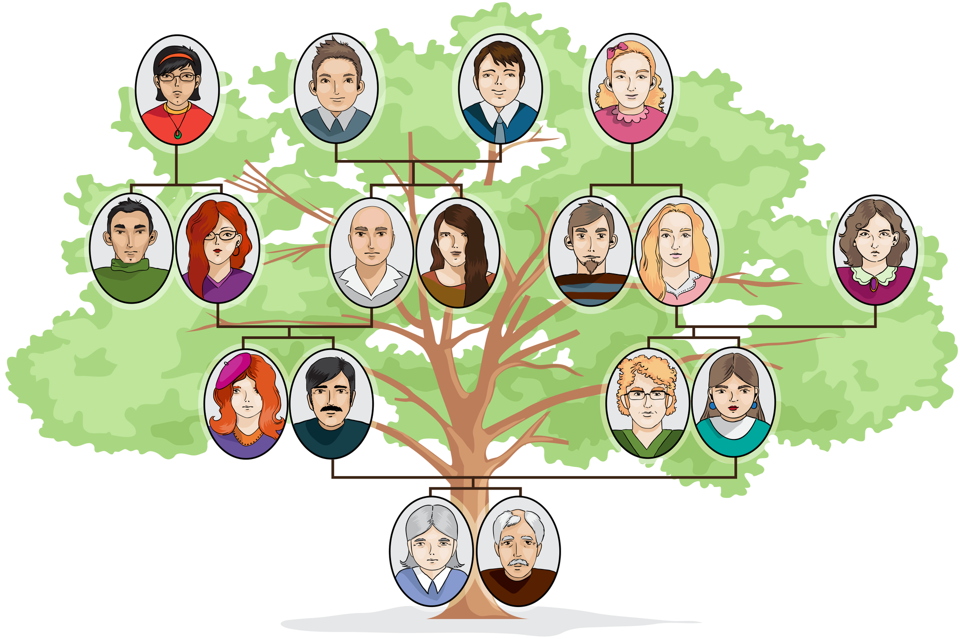 Ilustracja ukazuje drzewo genealogiczne obejmujące cztery pokolenia. W tle znajduje się rysunek drzewa. Pień stanowi najstarsze pokolenie rodziny. Drzewo następnie rozgałęzia się na ich dzieci, które stanowią drugie pokolenie. Od drugiego pokolenia linie biegną do trzeciego, a od trzeciego do czwartego, które jest najmłodsze. Najmłodsze pokolenie narysowane jest w koronie drzewa.