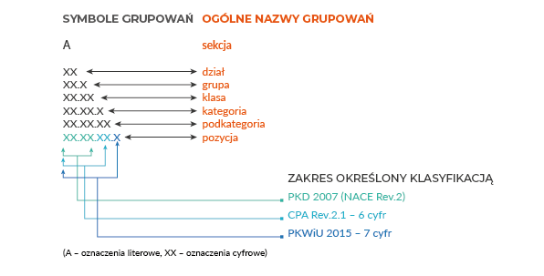 Grafika przedstawia schematyczne ujęcie zasad metodycznych polskiej klasyfikacji wyrobów i usług. Schemat podzielony jest na trzy kolumny. Po lewej stronie od góry napis: SYMBOLE GRUPOWAŃ, a poniżej litera A wyrażająca oznaczenia literowe w kodzie. Po prawej tekst: OGÓLNE NAZWY GRUPOWAŃ, a poniżej słowo sekcja. W kolejnych sześciu wierszach lewa i prawa strona połączone są strzałkami. Po lewej stronie przyrastają ciągi litery X wyrażające oznaczenia cyfrowe. Obrazują znaczenie kolejnych cyfr w zapisie kodu Polskiej Klasyfikacji Wyrobów i Usług. W pierwszym wierszu: XX - to dział; drugi wiersz: XX kropka X - to grupa; trzeci wiersz: XX kropka XX - to klasa; czwarty wiersz: XX kropka XX kropka X - to kategoria; piąty wiersz: XX kropka XX kropka XX to podkategoria; szósty wiersz: XX kropka XX kropka XX kropka X to pozycja. Poniżej trzy podwójne strzałki kierujące do trzeciej kolumny, która przedstawia zakres określony klasyfikacją. W kolejnych trzech wierszach przedstawione zasady zapisu trzech zakresów. Pierwszy wiersz: PKD 2007 (NACE Rev.2); drugi wiersz: CPA Rev.2.1 - sześć cyfr; trzeci wiersz: PKWiU 2015 - siedem cyfr. 