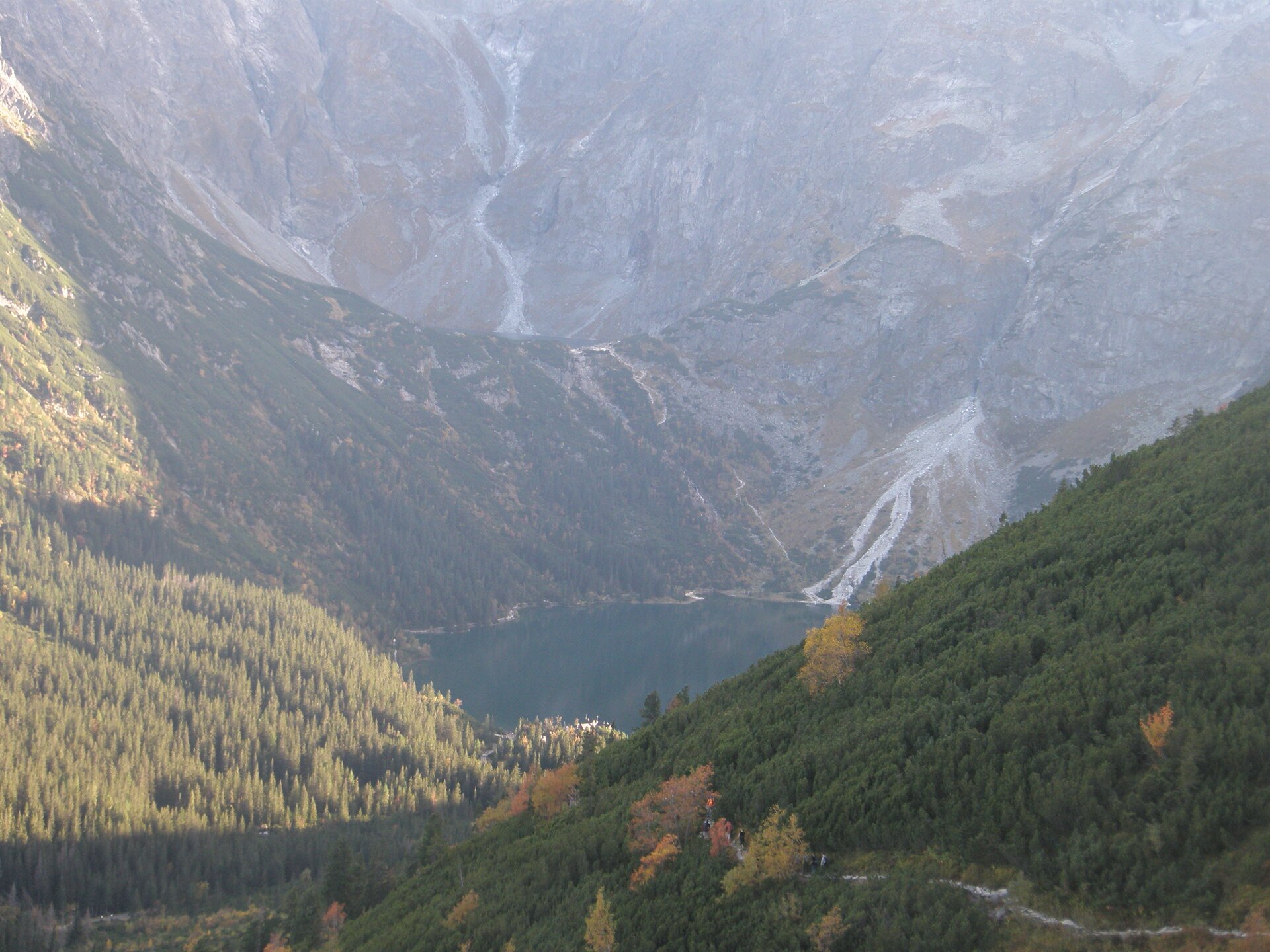 Widok z góry na Czarny Staw i Morskie Oko położone w Tatrach Wysokich. Jeziora otoczone są bardzo wysokim i masywnymi górami, których dolne partie pokryte są drzewami iglastymi. Jeziora oddzielone są od siebie linią skał.