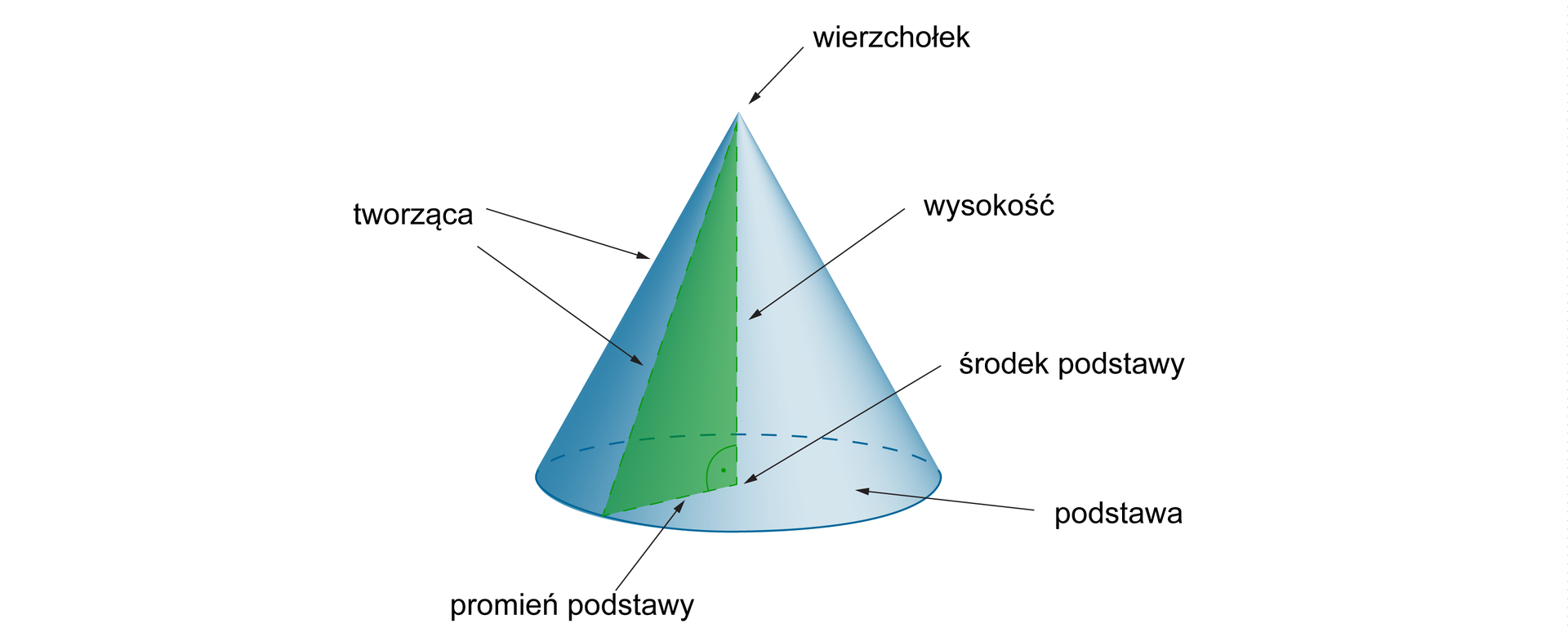 Rysunek stożka z zaznaczonym wierzchołkiem, wysokością, środkiem podstawy, podstawą, promieniem podstawy, tworzącą stożka.