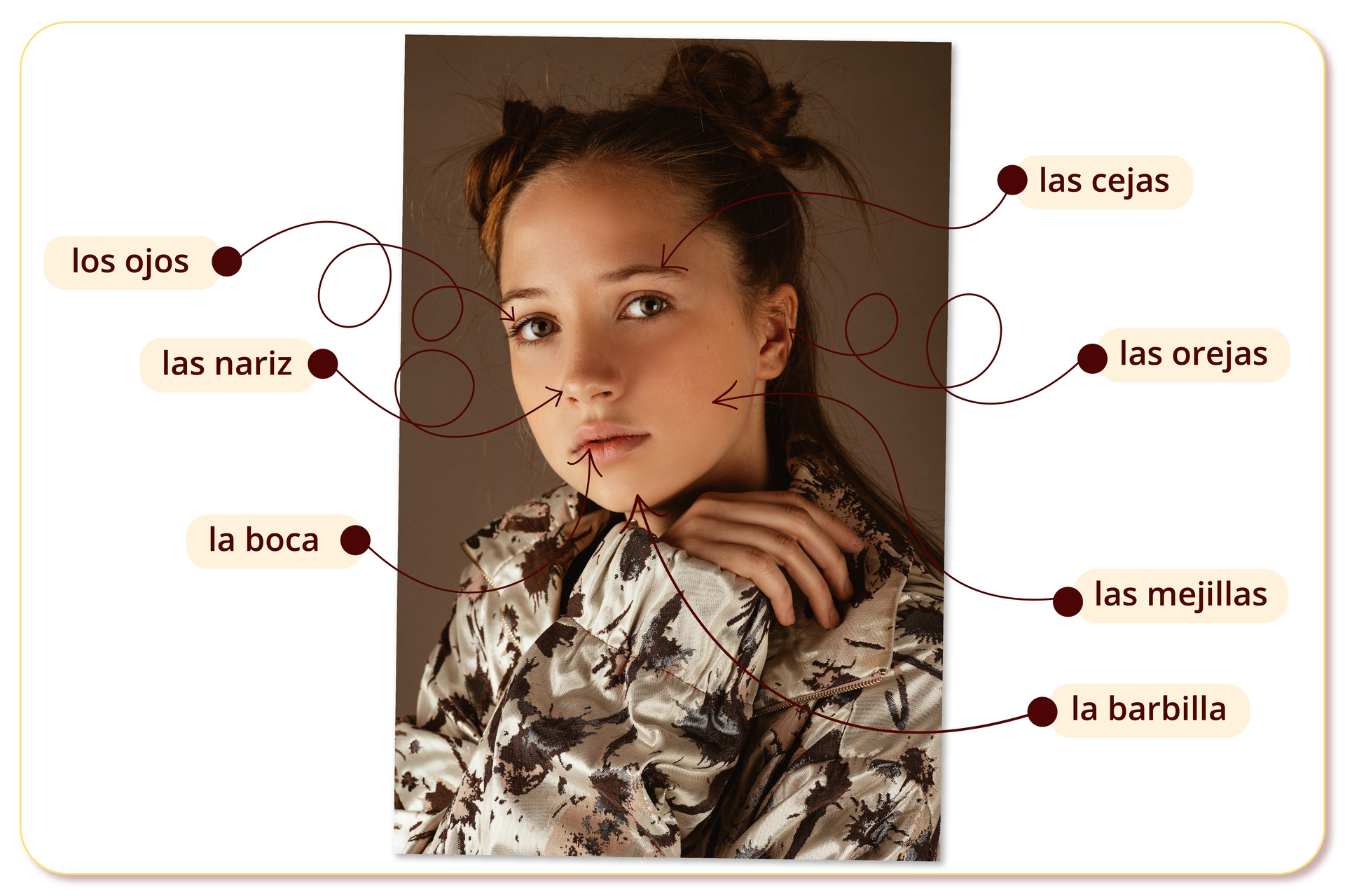 Grafika przedstawia twarz dziewczyny. Dodatkowo na grafice znajdują się strzałki z podpisami wskazujące części jej twarzy. Kolejno: Brew - las cejas.Oko - los ojos. Nos - las nariz. Usta - la boca. Podbródek - la barbilla. Policzek - las mejillas. Ucho - las orejas.  