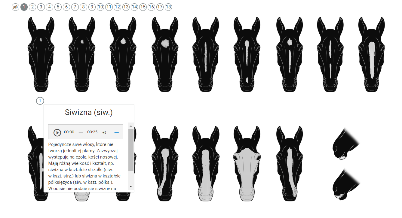 Ilustracja przedstawia widok planszy interaktywnej z wybranym numerem jeden. Widoczne są głowy konia z różnymi charakterystycznymi elementami. Każda grafika ma swój przypisany numer. Jest ich osiemnaście. W lewym górym rogu znajduje się pasek z okrągłymi ikonami. Pierwsza przedstawia przekreślone oko, a kolejne to cyfry od jeden do osiemnaście. Wybrany został punkt pierwszy. Poniżej widoczny jest opis charakterystycznego elementu.