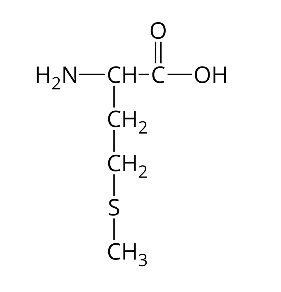 Wzór półstrukturalny metioniny. Do grupy H indeks dolny, dwa, koniec indeksu dolnego, N z prawej strony przyłączona jest grupa CH. Od niej odchodzą dwa wiązania pojedyncze. Pierwsze skierowane jest w prawo do atomu węgla. Od niego odchodzą dwa wiązania: podwójne w górę, prowadzące do atomu tlenu i pojedyncze w prawo do grupy OH. Drugie wiązanie odchodzące od grupy CH skierowane jest w dół i łączy się z grupą C H indeks dolny, dwa, koniec indeksu dolnego, od której odchodzi pojedyncze wiązanie w dół do grupy C H indeks dolny, dwa, koniec indeksu dolnego, a od niej kolejne pojedyncze wiązanie w dół do atomu siarki. Od niego poprowadzone jest wiązanie w dół do grupy C H indeks dolny, trzy, koniec indeksu dolnego.