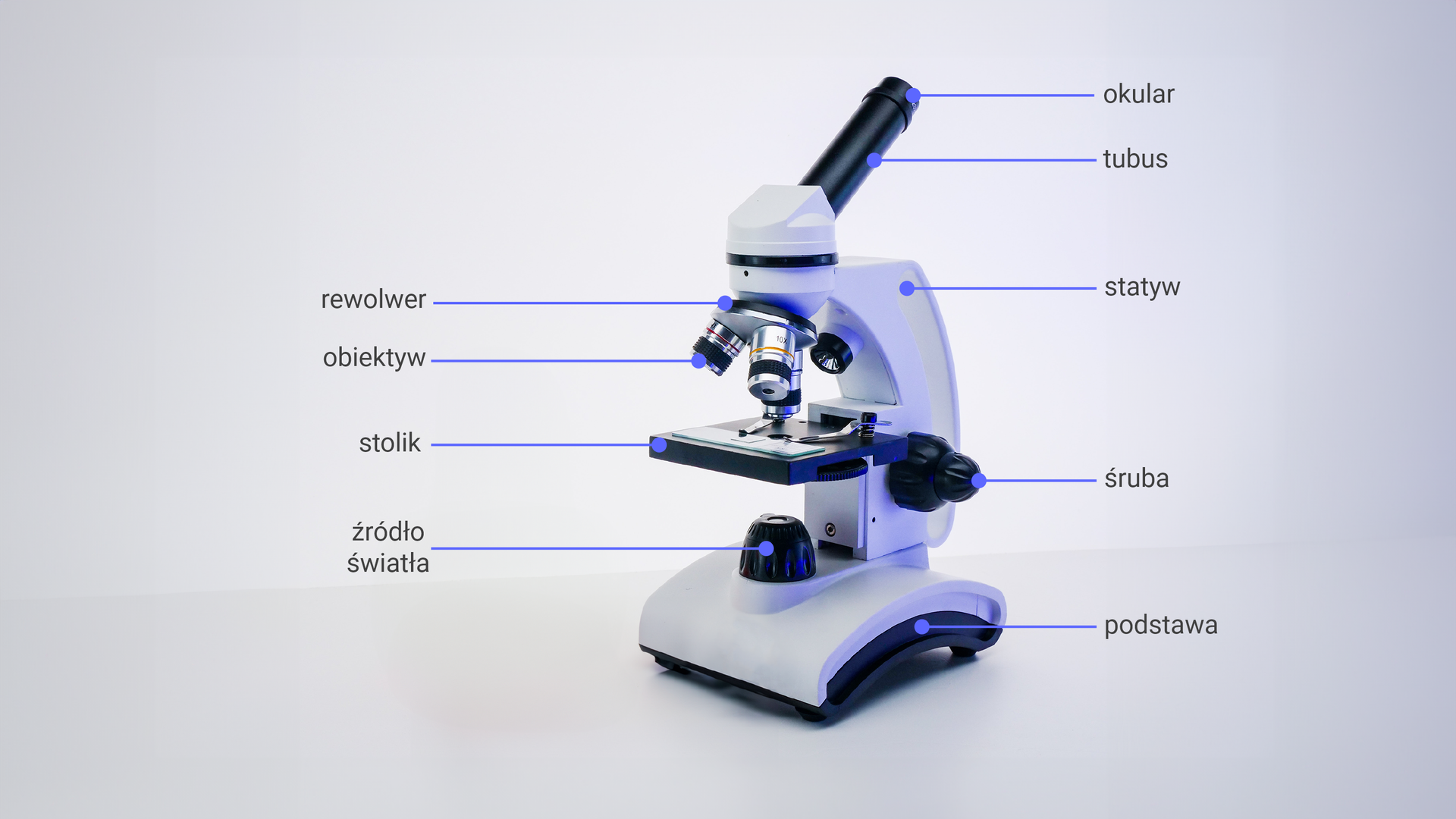 Budowa mikroskopu optycznego