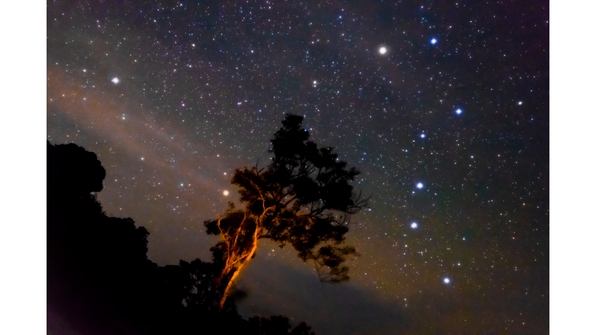 Na zdjęciu jest przedstawione nocne ujęcie nieba. Na pierszym planie zarys drzewa, a za nim kontury innych drzew. Tło stanowi niebo wypelnione gwiazdami. Odróżniają się na nim gwiazdozbiory Wielkiej i Małej Niedźwiedzicy.