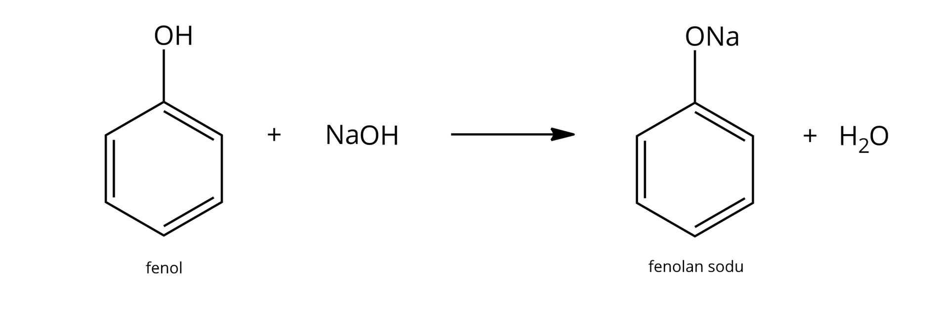 lustracja przedstawia równanie reakcji: cząsteczka fenolu reagują z jedną cząsteczką wodorotlenku sodu i powstają jedna cząsteczka fenolanu sodu i cząsteczka wody. Budowa fenolu: sześcioczłonowy pierścień aromatyczny, do jednego z naroży przyłączona jest grupa OH. Budowa fenolanu sodu: sześcioczłonowy pierścień aromatyczny, do jednego z naroży przyłączona jest grupa ONa.