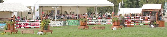 Na zdjęciu widoczny jest szereg trzech przeszkód. Każda konstrukcja ustawiona jest na trawiastym placu, w równych odległościach od siebie. Przeszkoda składa się z trzech biało‑czerwonych drążków zlokalizowanych na podobnych wysokościach.