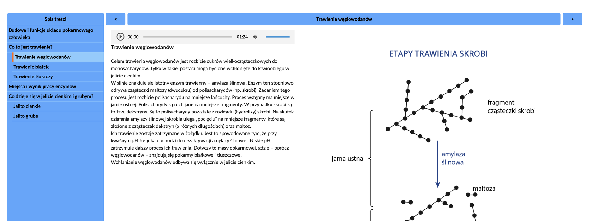 Widok przykładowej strony atlasu z opisem i plikiem audio. Po lewej stronie widoczne jest menu z zakładkami, u góry widoczne jest menu ze strzałkami w prawo i w lewo. Pośrodku widoczna jest przykładowa strona atlasu z opisem, grafikami i nagraniem.