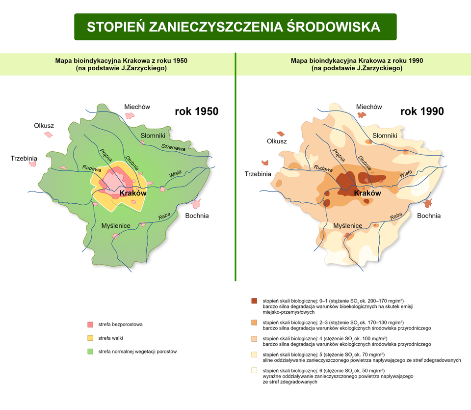 Mapa bioindykacyjna, na której widać stopień zanieczyszczenia środowiska na podstawie występowania w danej strefie porostów. Na mapie z 1950 roku centrum Krakowa to zaznaczona mała strefa bezporostowa. Otacza ją niewielka, żółta strefa walki w nieregularnym kształcie. Pozostała, duża strefa w kolorze zielonym to strefa normalnej wegetacji porostów. Na mapie bioindykacyjnej Krakowa z 1990 r. brak jest zupełnie koloru zielonego. W centrum mapy widać kilka nieregularnych, ciemnoczerwonych plam oznaczających stopień skali biologicznej 0‑1 (stężenie dwutlenku siarki około 200 – 170 miligramów na metr kwadratowy), bardzo silna degradacja warunków bioekologicznych na skutek emisji miejsko – przemysłowych. Otaczają je niewielkie, ciemnopomarańczowe plamy oznaczające stopień skali biologicznej 2‑3 (stężenie dwutlenku siarki około 170 – 130 miligramów na metr kwadratowy), bardzo silna degradacja warunków ekologicznych środowiska przyrodniczego. Dalej widać duże, jasnopomarańczowe obszary oznaczające stopień skali biologicznej 4 (stężenie dwutlenku siarki około 100 miligramów na metr kwadratowy) - występuje tu również bardzo silna degradacja warunków ekologicznych środowiska przyrodniczego. Na obrzeżach mapy umiejscowione są żółte fragmenty oznaczające stopień skali biologicznej 5 (stężenie dwutlenku siarki około 70 miligramów na metr kwadratowy). Występuje tu silne oddziaływanie zanieczyszczonego powietrza ze stref zdegradowanych. Niewielkie, jasnożółte plamy na brzegu mapy oznaczają strefy, gdzie występuje stopień skali biologicznej 6 (stężenie dwutlenku siarki ok. 50 miligramów na metr kwadratowy), co sygnalizuje wyraźne oddziaływanie zanieczyszczonego powietrza napływającego ze stref zdegradowanych.