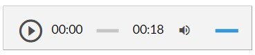 Grafika przedstawia panel odtwarzacza. Od lewej widoczna jest ikona włączenia odtwarzacza – ikona składa się z trójkąta wpisanego w okrąg. Wierzchołek trójkąta skierowany jest w prawo. Oba kształty są ciemnoszare. Tło jest siwe. Następnie widoczny jest pasek z czasem nagrania – od lewej początek nagrania 00:00, następnie siwy krótki pasek, a po prawej czas całego nagrania –18 sekund. Po lewej widnieją ikony zmiany głośności dźwięku w nagraniu. Składa się on z ikony megafonu skierowanego w prawo, od którego odchodzą dwie półokrągłe linie symbolizujące fale dźwiękowe. Po prawej stronie megafonu znajduje się niebieski pasek, który umożliwia zmianę poziomu głośności.