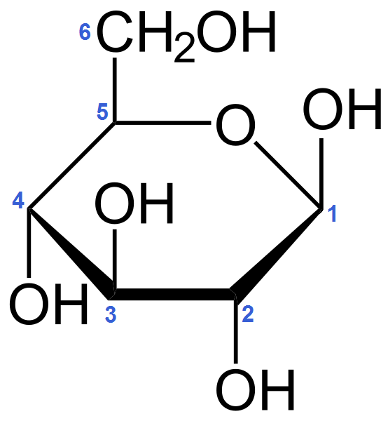  Schemat przedstawia strukturalny wzór formy pierścieniowy beta‑glukozy. We wzorze taflowym piąty oraz pierwszy węgiel w cząsteczce glukozy połączone są wiązaniem pomiędzy grupą hydroksylową przedostatniego atomu węgla a karbonylowym atomem węgla. Ponadto grupa hydroksylowa przy pierwszym atomie węgla jest skierowana do góry, ponad płaszczyznę pierścienia.