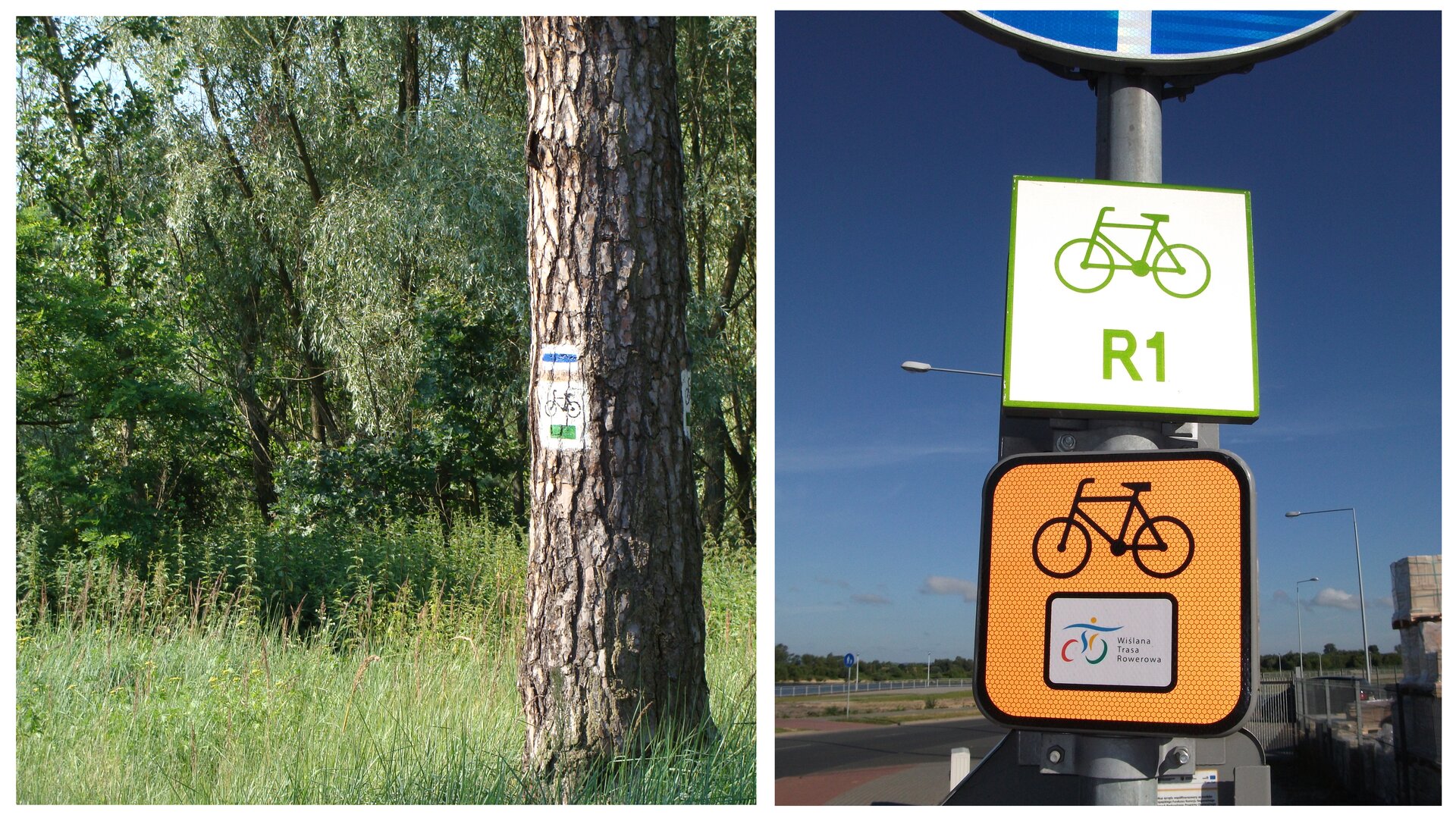 Fotografia z lewej przedstawia pień drzewa na tle lasu. Na pniu znajduje się biało – niebieski symbol szlaku turystycznego. Pod nim w białym kwadracie symbol roweru i zielony pasek. To oznakowanie trasy. Fotografia z prawej przedstawia dwie tabliczki z oznaczeniem tras rowerowych. Znajdują się na metalowym słupie znaku drogowego przy szosie. Górna, biała ma zielony symbol roweru i napis R1, czyli oznaczenie szlaku europejskiego. Dolna, pomarańczowa ma czarny symbol roweru i kolorowy znaczek na białym tle. To oznakowanie trasy regionalnej.