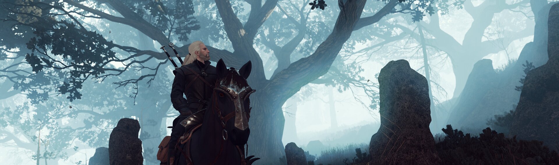 Zdjęcie przedstawia kadr z gry Wiedźmin. Ukazana jest postać głównego bohatera jadącego na koniu przez mroczny las.