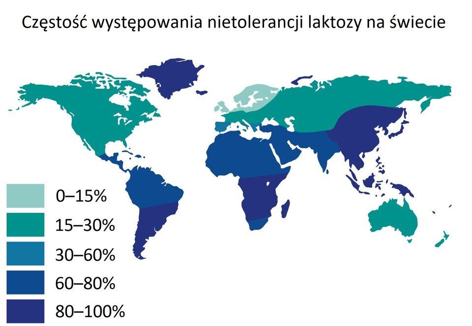 Mapa świata przedstawia częstości występowania nietolerancji laktozy na świecie. Nietolerancja w przedziale od 0 do 15% występuje głównie w krajach skandynawskich oraz na północnych obszarach krajów europejskich. Nietolerancja w przedziale 15 do 30% występuje w całej Ameryce Północnej, Europie Zachodniej i Środkowej, Eurazji, Północnej i Wschodniej Azji. Nietolerancja w przedziale od 30 do 60% występuje na terenie Hiszpanii i Portugalii. Nietolerancja w przedziale od 60 do 80% występuje na terenie Ameryki Środkowej, Północnej Afryki, Północnej Ameryki Południowej, Arabii Saudyjskiej, i Południowej części Azji. Nietolerancja w przedziale od 80 do 100% występuje na terenie Grenlandii, Islandii, południowej części Ameryki Południowej, południowej części Afryki, wschodniej części Azji oraz w Indonezji.￼