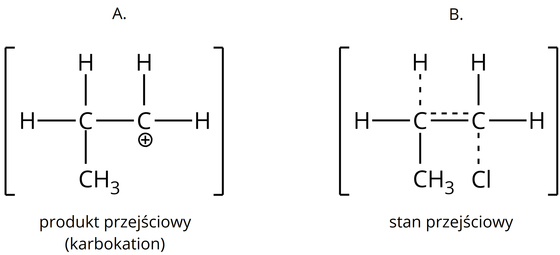 Ilustracja przedstawiająca produkt przejściowy, którym jest karbokation zbudowany z dwóch połączonych za pomocą wiązania pojedynczego atomów węgla. Pierwszy z nich podstawiony jest grupą CH3 oraz dwoma atomami wodoru. Z kolei drugi atom węgla obdarzony jest ładunkiem dodatnim oraz podstawiony dwoma atomami wodoru. Obok, w nawiasie kwadratowym znajduje się struktura reprezentująca stan przejściowy. Składa się ona z dwóch połączonych za pomocą wiązania pojedynczego oraz przerywanej linii (odpowiadającej rozmyciu elektronów) atomów węgla, z których pierwszy łączy się za pomocą wiązań pojedynczych z podstawnikiem metylowym CH3 i atomem wodoru, a także za pomocą przerywanej linii z drugim atomem wodoru. Natomiast drugi atom węgla łączy się z dwoma atomami wodoru, a także za pomocą przerywanej linii z atomem chloru Cl. Zatem ładunek ujemny jest rozmyty, poczynając od atomu wodoru przez dwa atomy węgla aż po atom chloru.