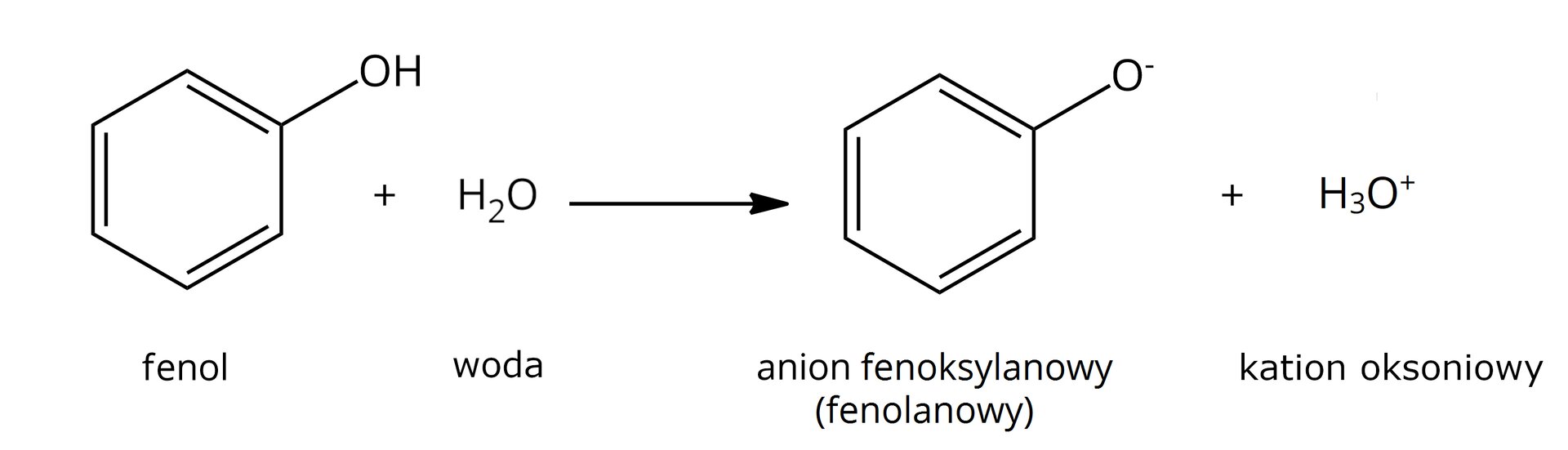 Ilustracja przedstawia reakcję: fenol: sześcioczłonowy pierścień aromatyczny z przyłączoną grupą OH do jednego z atomów węgla, dodać cząsteczkę wody H2O. Pozioma strzałka skierowana w prawo. Po prawej stronie strzałki anion fenoksylanowy (fenolanowy): sześcioczłonowy pierścień aromatyczny z przyłączonym atomem tlenu z ładunkiem ujemnym do jednego z atomów węgla, dodać kation H3O+.