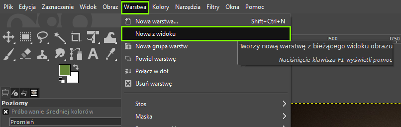 Ilustracja przedstawia okno programu. Z menu wybrano zakładkę Warstwa. Z listy wybrano opcję: Nowa z widoku. Obok informacja: Tworzy nową warstwę z bieżącą widoku obrazu. Naciśnięcie klawisza F1 wyświetli pomoc. Po lewej stronie jest panel dotyczący poziomów.  