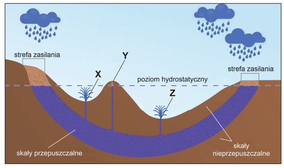 Schemat budowy hydrogeologicznej niecki artezyjskiej z zaznaczonymi trzema studniami: X, Y i Z. Warstwa wodonośna (skały przepuszczalne) ma kształt synkliny, nad którą leżą skały nieprzepuszczalne o pofalowanej powierzchni tworzącej doliny i wzgórze. Miejsce wyjścia skał przepuszczalnych na powierzchnię oznaczono jako „strefa zasilania”. Poziom hydrostatyczny wód wyznacza pozioma, niebieska linia przerywana. Przebiega ona idealnie prosto przez cały schemat, łącząc ze sobą dolne granice obu stref zasilania po lewej i prawej stronie wykresu. Linia ta przecina pofalowaną linię terenu w następujący sposób:
biegnie powyżej dna obu dolin (w których wywiercono studnie X i Z),
biegnie poniżej szczytu wzgórza (w obrębie którego wywiercono studnię Y).