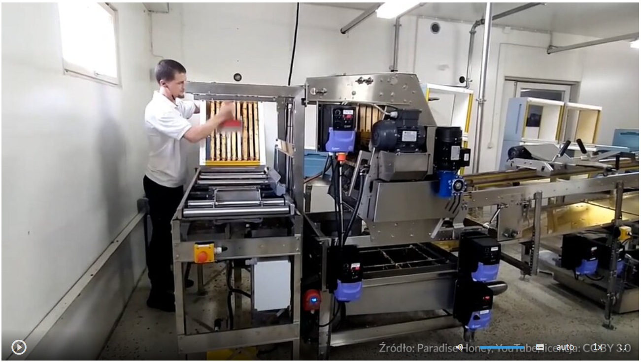 Na zdjęciu widać pracownię pszczelarską. Na pierwszym planie widoczna jest duża metalowa maszyna złożona z kilku elementów. Służy do odwirowywania miodu. Po lewej stronie, przy ścianie, stoi mężczyzna w białej koszuli i czarnych spodniach. Zeskrobuje miód z ramki  z miodem. Na dole zdjęcia widać w lewym rogu przycisk odtwarzania filmu. W prawym rogu znajduje się tekst z wymienionym autorem filmu i licencją.