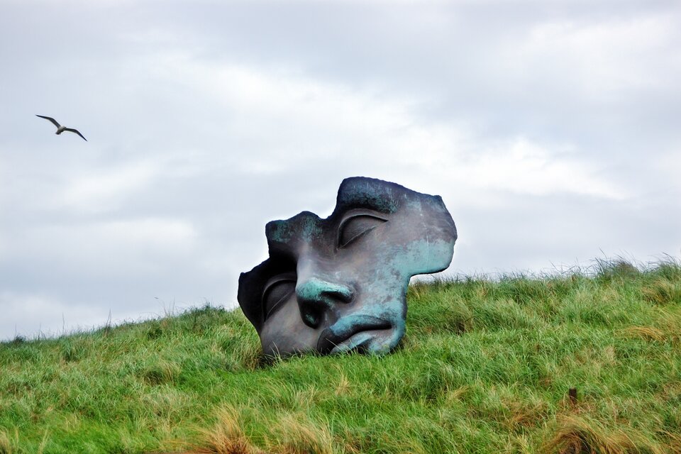 Ilustracja przedstawia rzeźbę Igora Mitoraja „Beeld boulevard”. Ukazuje fragment twarzy nawiązującej do klasycznego piękna. Umieszczona jest na trawiastym pagórku. Ma delikatne rysy i kontrastuje z otoczeniem - ostrą trawą.