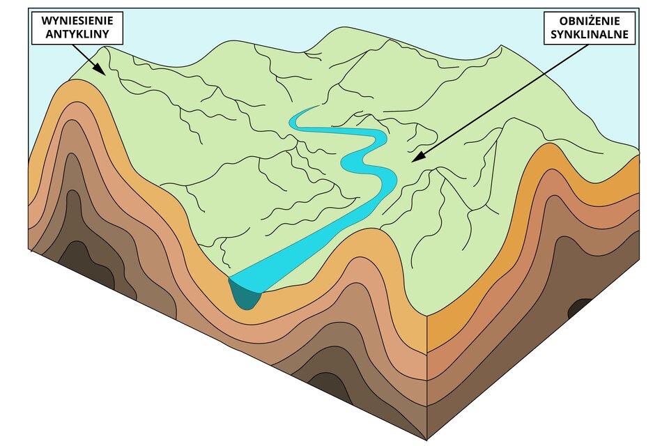 Ilustracja przedstawia schemat wyniesienia antykliny i obniżenia synklinalnego w postaci przekroju pasma górskiego. Powierzchnia Ziemi przedstawiona jest w kolorze zielonym, przecięta liniami koloru czarnego. Linie te oznaczają granice wypukłych form skalnych. W środku schematu widoczne jest koryto rzeczne jako niebieska linia o zaokrąglonym kształcie. W głąb ziemi ukazane są pasy ułożone jeden na drugim, które obrazują uwarstwienie gleby. Miejsce, gdzie utworzyła się wypukła forma terenu to wyniesienie antykliny. Obniżony teren zaznaczony w miejscu, gdzie są okolice doliny rzecznej to obniżenie synklinalne. 