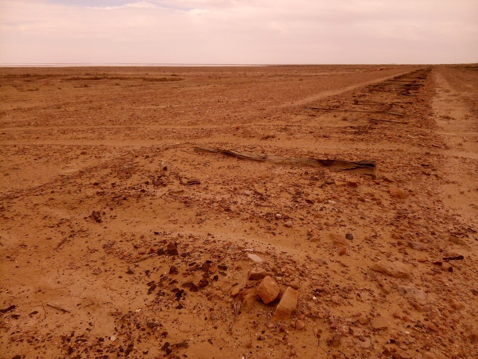 Zdjęcie przedstawia Pustynię Simpsona w Australi. Po horyzont biegnie szeroki teren, który składa się z czerwonawego piasku i kamieni. 