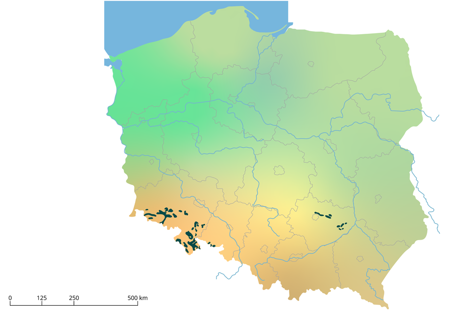 Mapa E. Na mapie Polski w województwie dolnośląskim - w jego południowo‑wschodniej i południowo‑zachodniej części jest dosyć sporo ciemnozielonych plam. Nieliczne takie punkty są w centralnej i wschodniej części województwa świętokrzyskiego.   