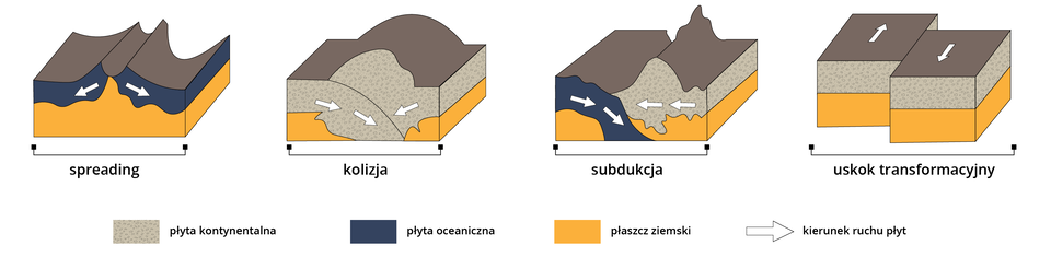 Grafiki przedstawiają procesy na krawędziach płyt. Gdy rozsuwają się płyty oceaniczne i powstaje zagłębienie na dnie oceanu to jest to spreading. Gdy dwie płyty kontynentalne wsuwają się pod siebie to jest to kolizja. Gdy płyta oceaniczna wsuwa się pod kontynentalną to jest to subdukcja. Gdy jedna płyta kontynentalna porusza się w górę a druga w dół to jest to uskok transformacyjny.