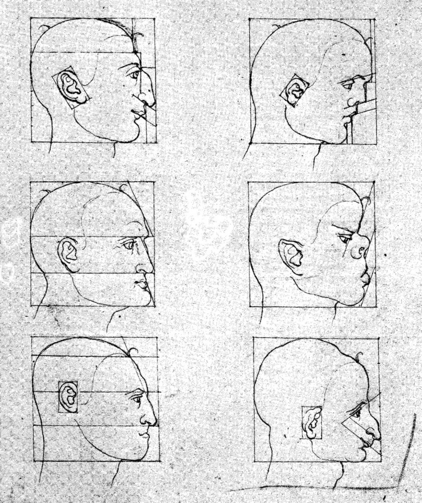 Ilustracja „Proporcje ludzkiej głowy” to sześć rysunków przedstawiających męską twarz ukazaną z boku. Są ułożone w trzech rzędach po dwa rysunki. Tło jest szare. Twarze umieszczone są w podzielonych liniami kwadratach, ukazujących szerokość kątów pomiędzy poszczególnymi elementami twarzy. Od góry znajdują się rysunki: 1. Mężczyzny o wysuniętej brodzie oraz garbatym nosie, którego ucho obramowano przesuniętym prostokątem. Prosta linia łączy oko mężczyzny oraz jego nozdrza. 2. Mężczyzny o wypukłym czole oraz cofniętej brodzie, którego ucho obramowano prostokątem. Linie podkreślając jego łuk brwiowy, koniuszek nosa oraz usta są równoległe. 3. Mężczyzny o wysuniętej linii brwi, nosie oraz brodzie. 4. Mężczyzny o wysuniętym nosie oraz ustach, którego koniuszek nosa oraz dolna warga są w jednej linii. 5. Mężczyzny o długim nosie oraz cofniętych ustach, którego linia żuchwy, koniuszek nosa oraz linia włosów tworzą kąt ostry. 6. Mężczyzny o dużej głowie, wysokim czole, garbatym nosie oraz niewielkiej brodzie, którego linia brwi, oczu oraz środek ust tworzą kąt ostry.