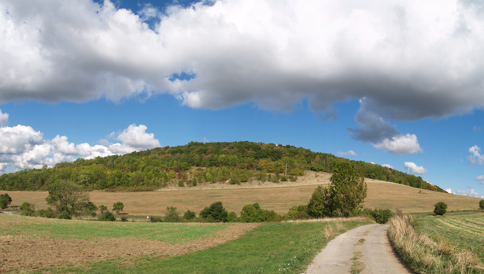 Zdjęcie przedstawia wzgórze. Na pierwszym planie zdjęcia płaski teren, na drugim rozległe, masywne wzniesienie pokryte drzewami i trawą.