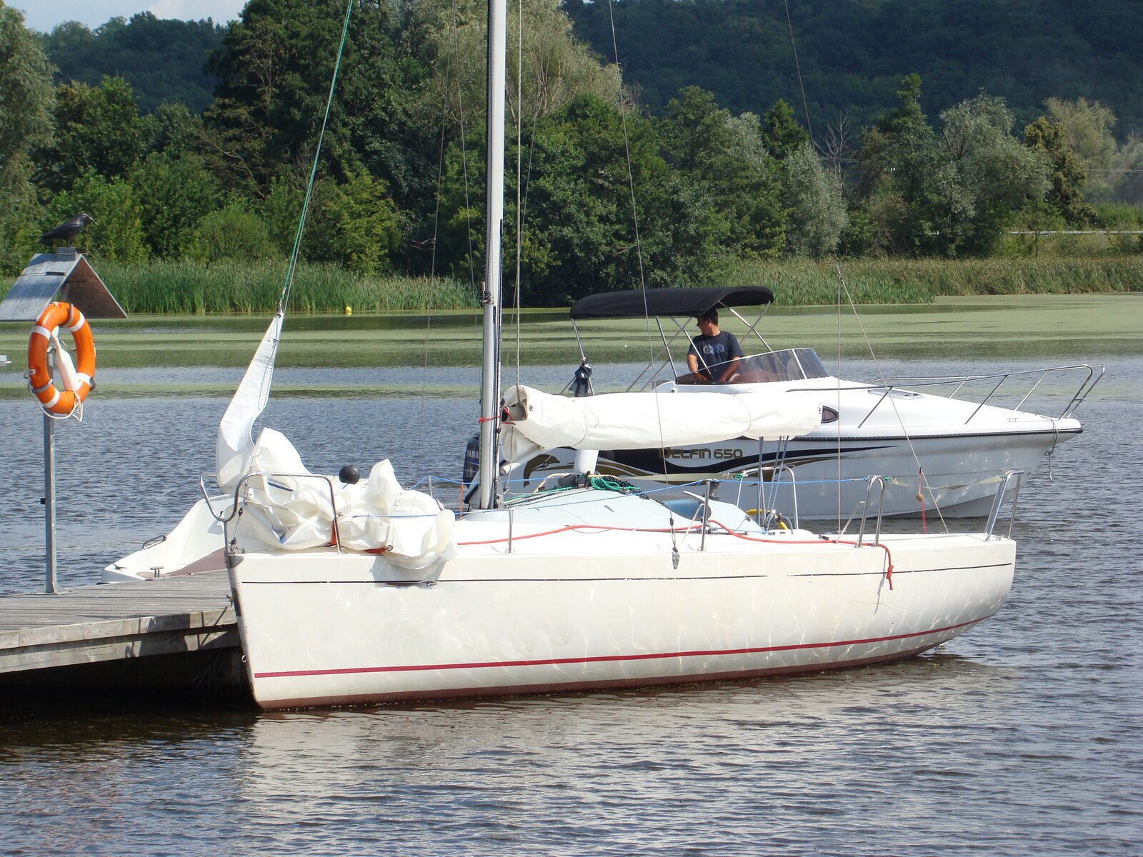 Zdjęcie przedstawia dwie białe łódki ustawione kadłubami w prawą stronę, przycumowane do drewnianego mostka. W oddali drzewa i zarośla.