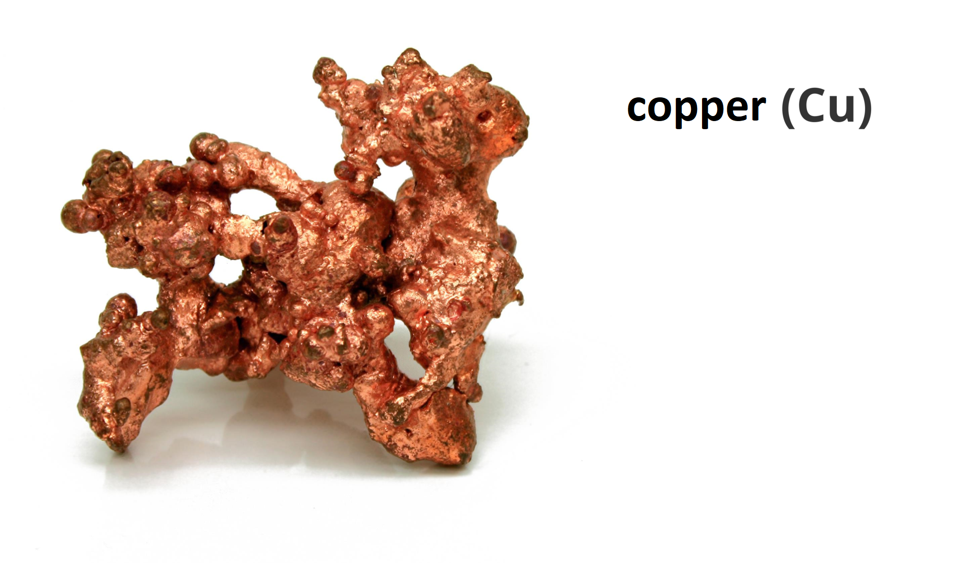 What kind of common features can you notice? The photograph shows a copper.