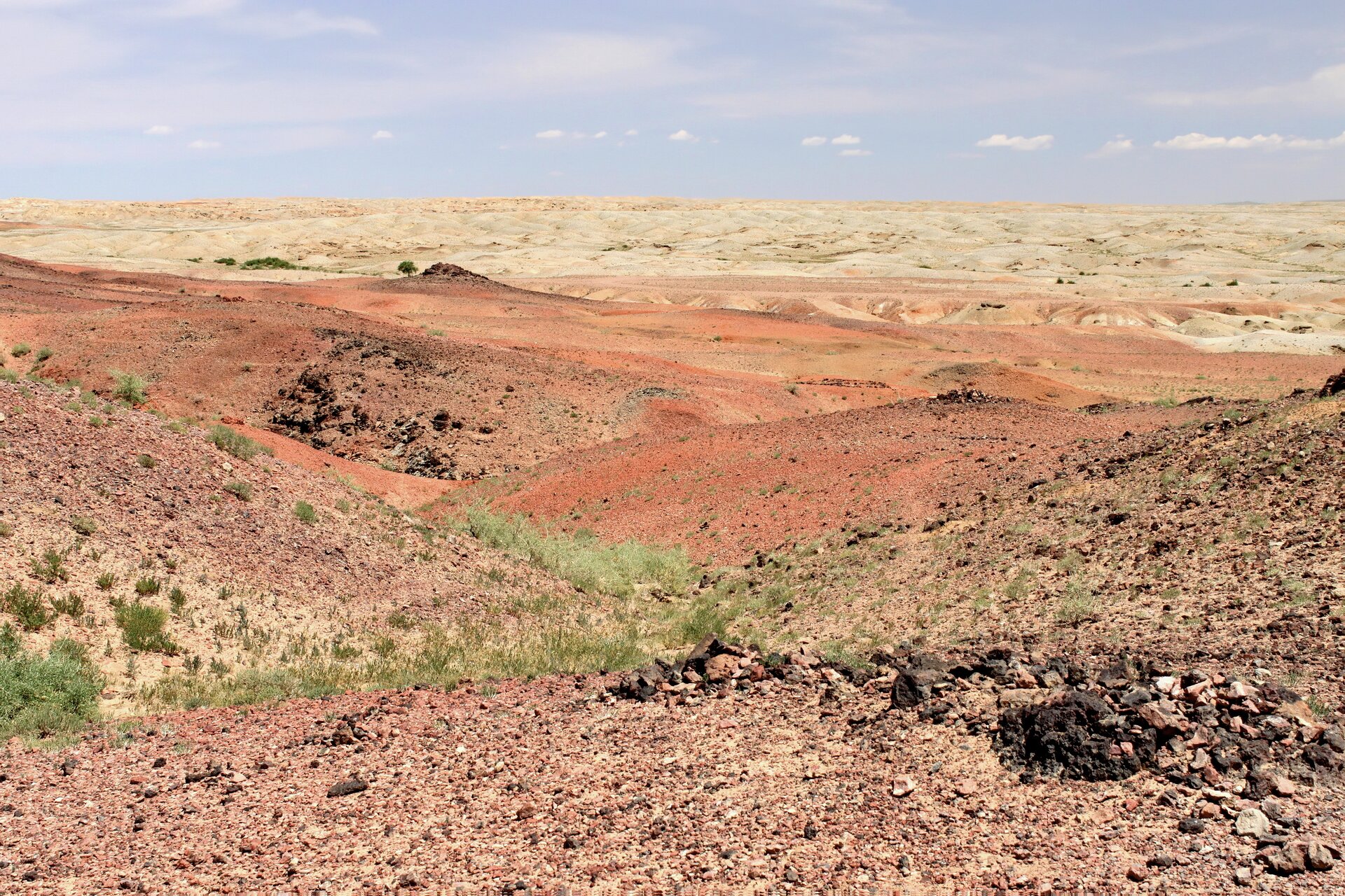 Zdjęcie przedstawia Pustynię Gobi w Mongolii. Pustynny krajobraz składa się z niewysokich wzgórz zbudowanych z czerwonego piasku. Widać na nich pojedyncze kępy traw.