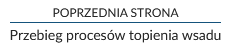 Przykład przycisku służącego do przejścia do poprzedniej strony. Napis: "Przebieg procesów topienia wsadu".