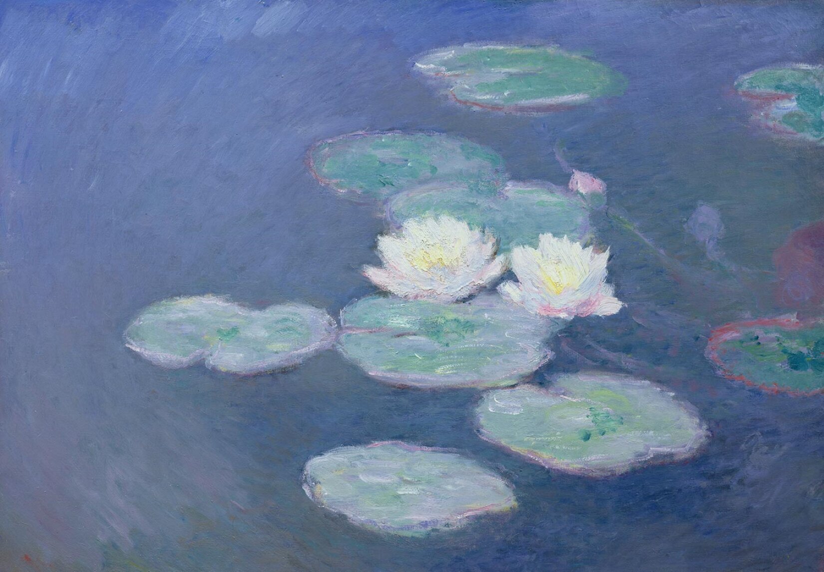 .  Obraz autorstwa Claude Monet, pod tytułem: „Nenufary, efekt wieczorny”. Dzieło przedstawia zbliżenie na lilie wodne. Na środku obrazu ukazane są dwa, białe kwiaty lilii wodnej. Wokół kwiatów znajdują się zielone liście. 