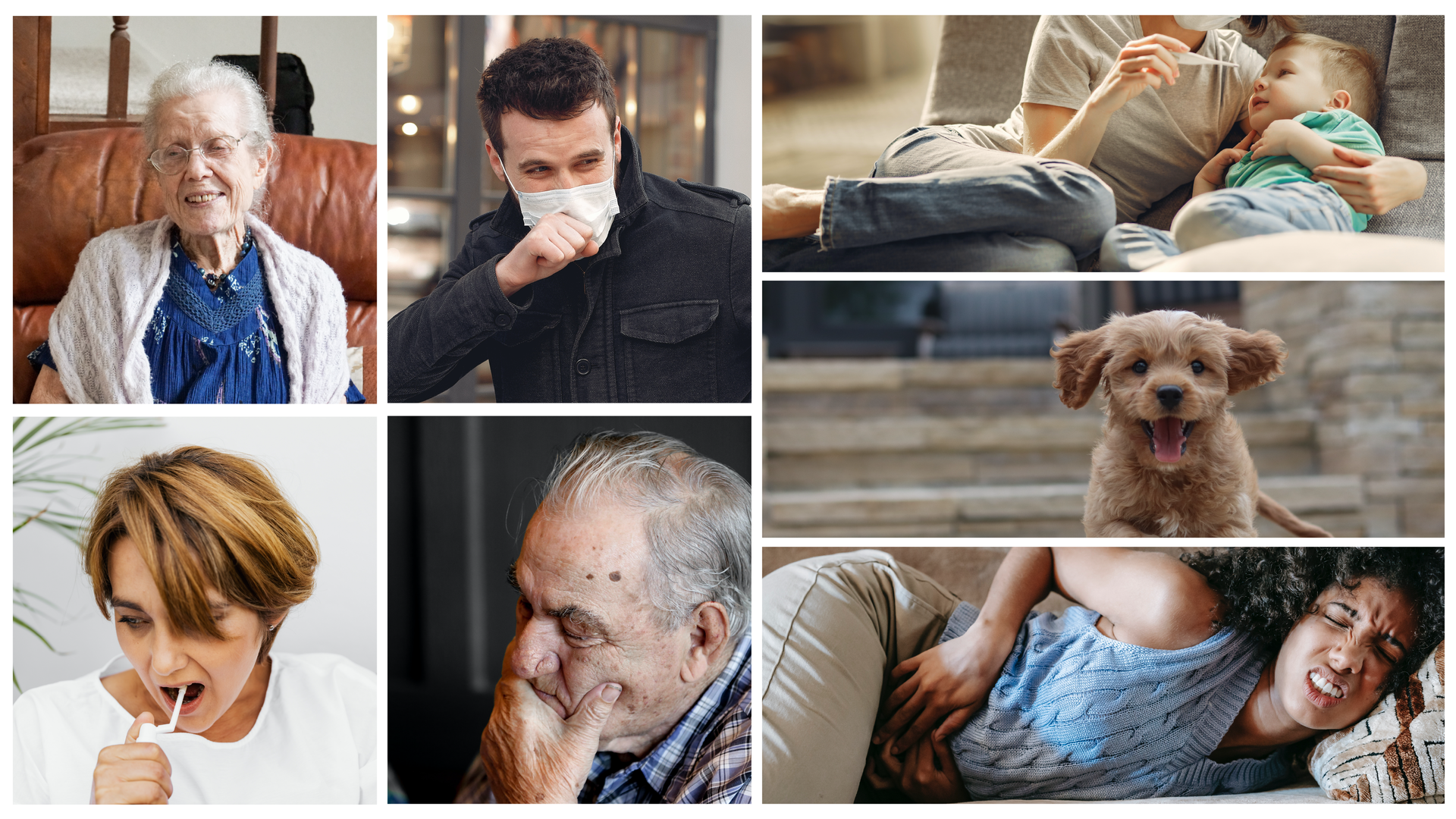 Ilustracja składa się z siedmiu zdjęć przedstawiających rodzinę. Każdemu członkowi rodziny coś dolega. Na pierwszym zdjęciu babcia siedzi zmęczona w fotelu. Na kolejnym młody mężczyzna w maseczce ochronnej zakrywa się jakby kaszlał. Na następnym zdjęciu kobieta i dziecko leżą na kanapie. Kobieta obejmuje dziecko jedną ręką, a w drugiej trzyma termometr. Na następnym zdjęciu kobieta pokazuje, że boli ją gardło. Na kolejnym zdjęciu dziadek trzyma się za szczękę jakby bolały go zęby. Na następnym zdjęciu młoda dziewczyna leży i trzyma się za brzuch. Na ostatnim zdjęciu widać zadowolonego psa.