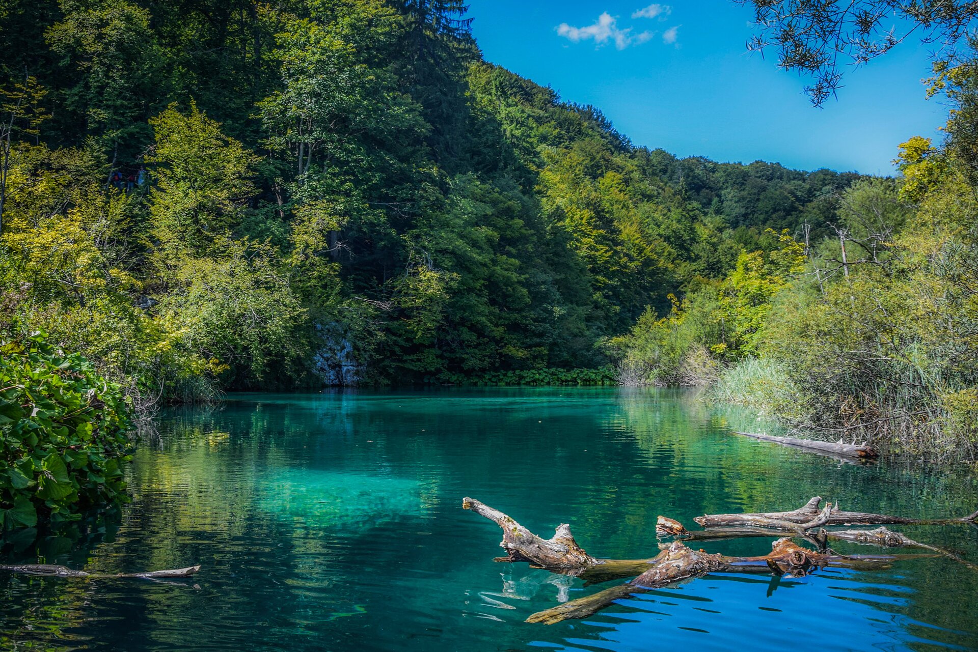 Na pierwszym planie na zdjęciu widać spokojnie płynącą rzekę o błękitnej barwie, w której odbijają się refleksy  światła. Po prawej stronie z wody wystaje duży, wyschnięty konar drzewa. Po obu stronach rzeki są porośnięte wysoką roślinnością brzegi, a w oddali wzgórza pokryte lasem. W tle widać błękitne niebo.
