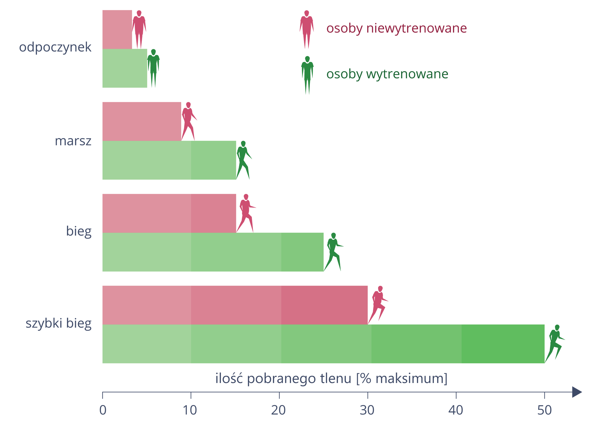 Diagram słupkowy poziomy przedstawia wydolność fizyczną podczas różnych ćwiczeń (oś Y). Wydolność osób wytrenowanych (belki i sylwetki zielone) i niewytrenowanych (belki i sylwetki różowe) mierzono przy pomocy ilości pobranego tlenu, oznaczonego w procentach na osi X. Porównano zużycie tlenu podczas: odpoczynku, marszu, biegu i szybkiego biegu. W każdej z tych aktywności pobór tlenu u osób wytrenowanych był w przybliżeniu dwukrotnie wyższy niż u niewytrenowanych.