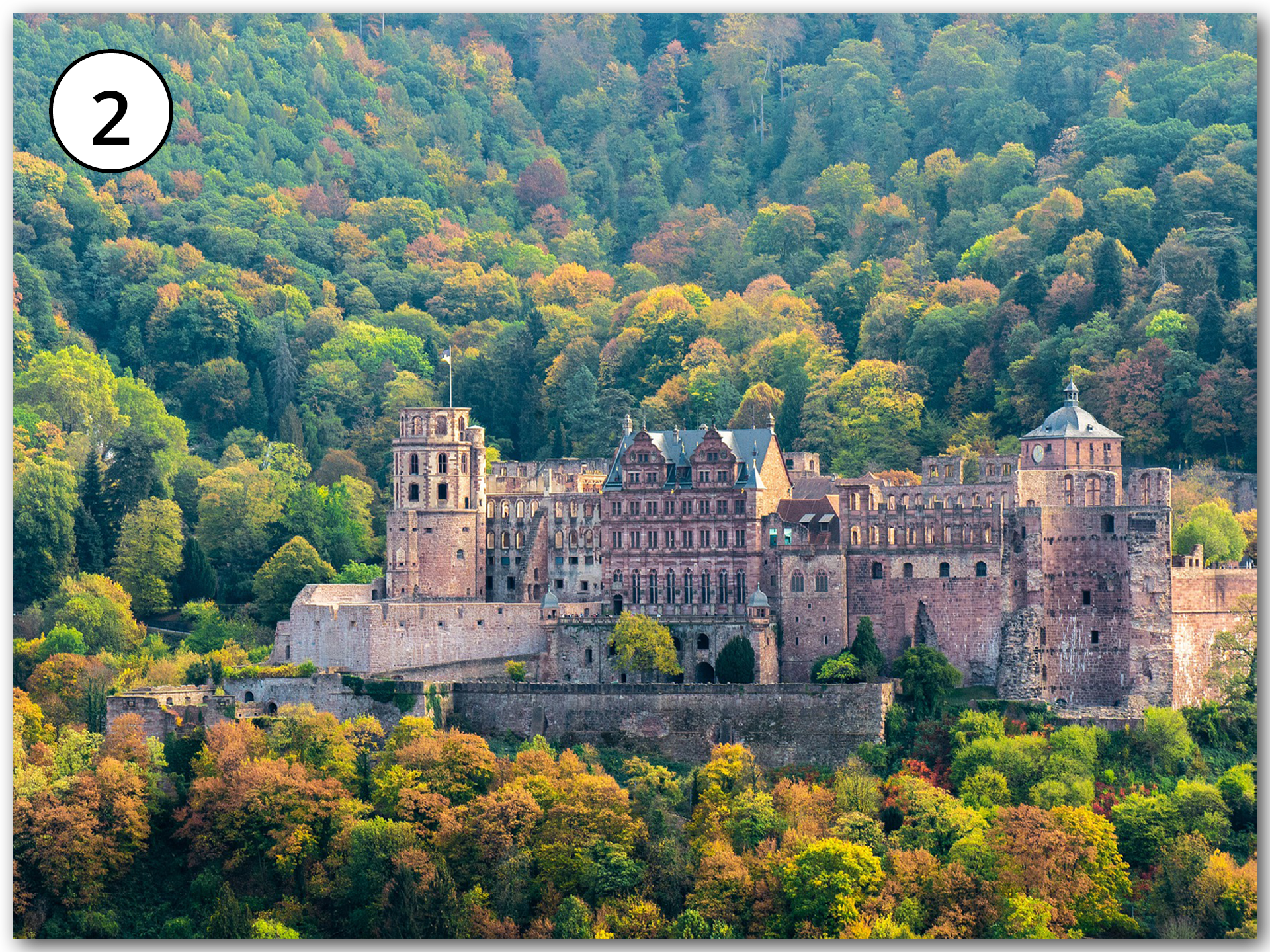 Grafik przedstawia zamek. Dookoła rośnie gęsty las.