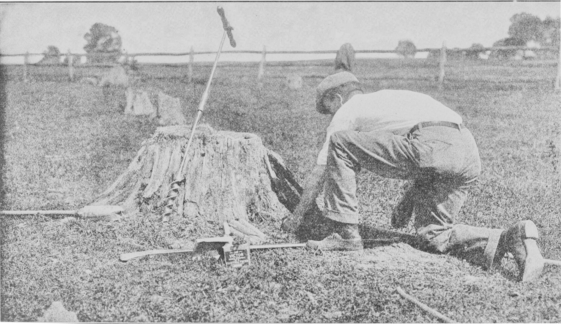 Na zdjęciu mężczyzna, który pracuje w polu. Mężczyzna klęczy, próbuje pozbyć się pnia drzewa, które pozostało po ścięciu. Wokół różne narzędzia.