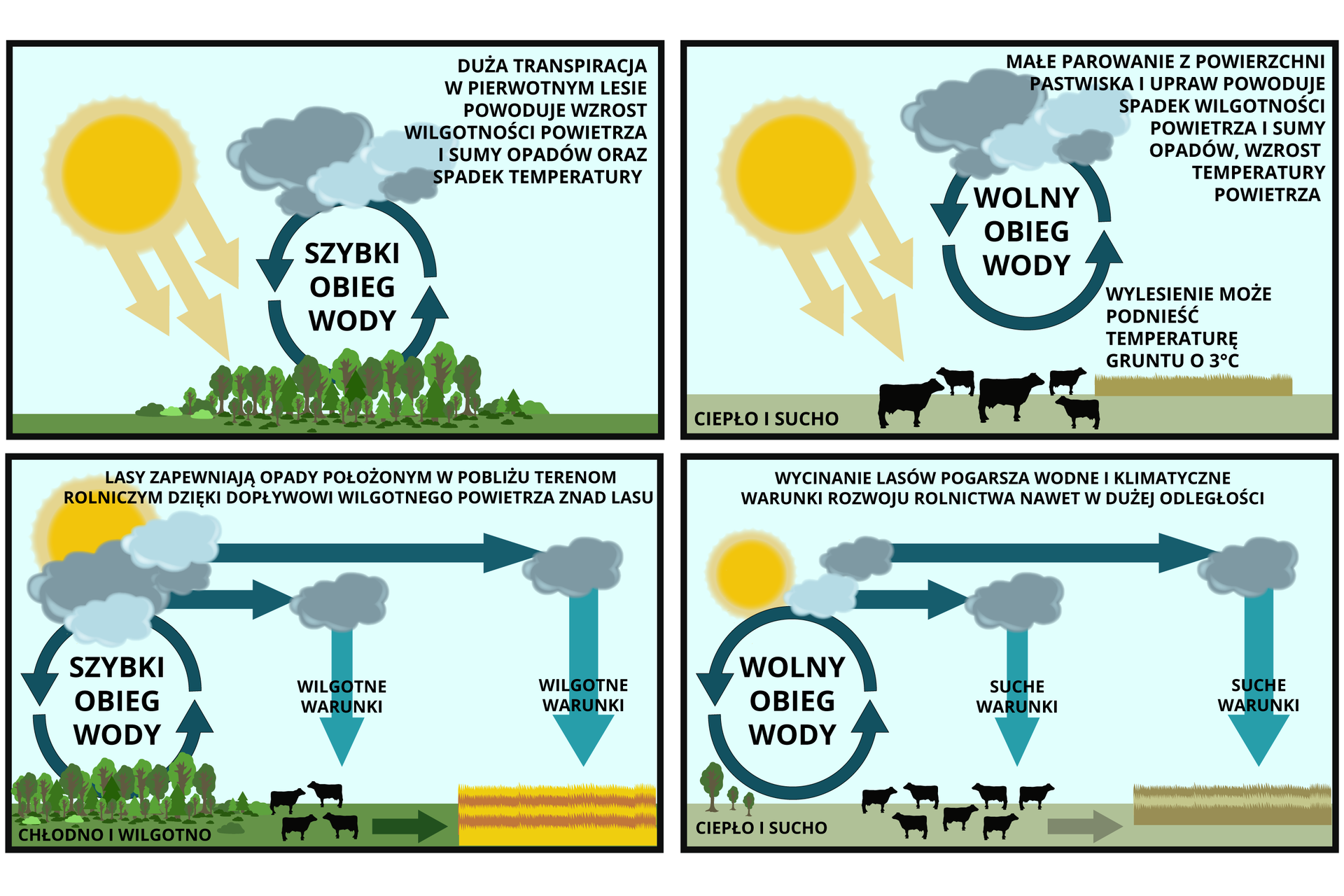 Schemat przedstawia warunki wilgotnościowe terenów leśnych, pastwiskowych i uprawnych. Na pierwszym obrazku przedstawiono las i szybki obieg wody. Promienie słoneczne oddziałują na roślinność, z której paruje woda, para wodna unosi się nad lasem i skrapla w postaci opadu. Duża transpiracja w pierwotnym lesie powoduje wzrost wilgotności powietrza i sumy opadów oraz spadek temperatury. Na drugim obrazku przedstawiono pastwisko, na którym pasą się krowy i wolny obieg wody. Małe parowanie z powierzchni pastwiska i upraw powoduje spadek wilgotności powietrza i sumy padów, wzrost temperatury powietrza. Wylesienie może podnieść temperaturę gruntu o 3 stopnie Celsjusza. Na trzecim obrazku przedstawiono las, pastwisko i pole uprawne. Jest to szybki obieg wody. Lasy zapewniają opady położonym w pobliżu terenom rolniczym dzięki dopływowi wilgotnego powietrza znad lasu. W lesie jest chłodno i wilgotno. Na czwartym obrazku przedstawiono wykarczowany las, pastwisko i pole uprawne. Jest to wolny obieg wody. Wycinanie lasów pogarsza wodne i klimatyczne warunki rozwoju rolnictwa nawet w dużej odległości. 