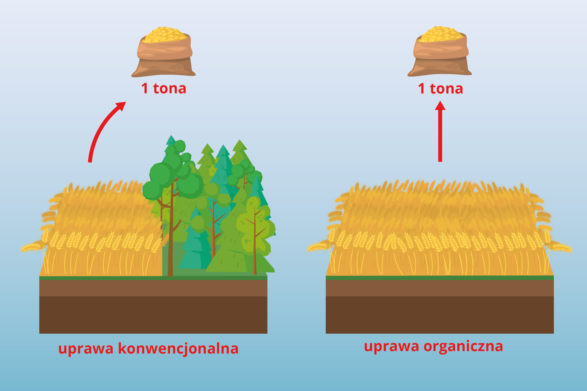 Porównanie wydajności uprawy konwencjonalnej i organicznej. Aby otrzymać tonę produktu z uprawy organicznej potrzeba dwa razy więcej pola niż dla uprawy konwencjonalnej, co idzie za koniecznością wycinki drzew, czyli też większej emisji CO2.