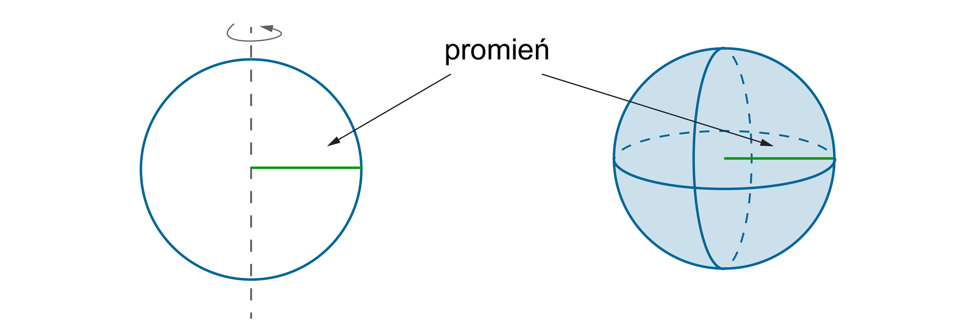   Rysunek przedstawia koło i znajdującą się obok kulę.  Na kole zaznaczono pionową oś obrotu zawierającą średnice tego koła oraz prostopadły do osi obrotu promień. Na kuli zaznaczony jest dokładnie ten sam promień. Wynika stąd, że promień koła, który w wyniku obrotu wokół osi obrotu wyznacza kulę jest taki sam jak promień kuli.  
