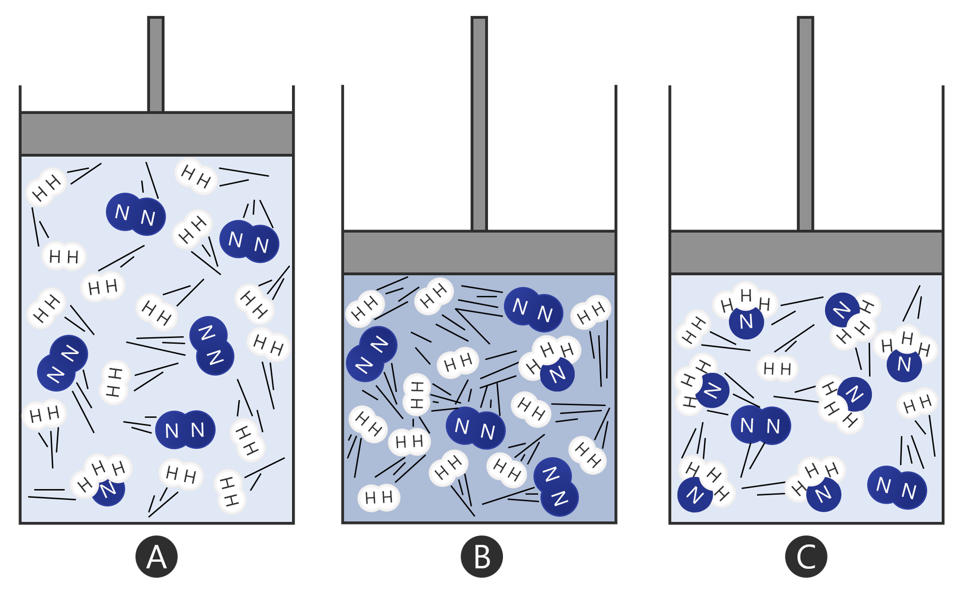Na ilustracji znajdują się trzy naczynia. Na górze naczyń znajduje się tłok. W pierwszym naczyniu, na rysunku A, znajdują się atomy azotu i wodoru, są połączone po dwa. Wśród nich jest tylko jedna cząsteczka N H indeks dolny trzy. W naczyniu drugim, rysunek B, tłok jest opuszczony o jedną trzecią w porównaniu z naczyniem pierwszym - cząsteczki są zagęszczone bardziej niż na rysunku A. Na rysunku C przeważają cząsteczki amoniaku.