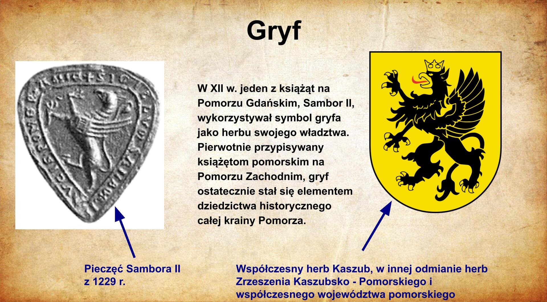 Na jasnobrązowym tle umieszczony został  tytuł. Slajd zatytułowany jest: Gryf. Po lewej stronie znajduje się ilustracja. Przedstawia na tłoku pieczętnym mityczne zwierzę, które posiada głowę i skrzydła orła oraz tułów lwa.  Zwierzę stoi na tylnych łapach i zwrócone jest w lewą stronę. Pośrodku napis:W XII w. jeden z książąt na Pomorzu Gdańskim, Sambor II, wykorzystywał symbol gryfa jako herbu swojego władztwa. Pierwotnie przypisywany książętom pomorskim na Pomorzu Zachodnim, gryf ostatecznie stał się elementem dziedzictwa historycznego całej krainy Pomorza. Po prawej herb Kaszub - czarny gryf w koronie na żółtym tle. Podpis: Współczesny herb Kaszub, w innej odmianie herb Zrzeszenia Kaszubsko - Pomorskiego i współczesnego województwa pomorskiego.
