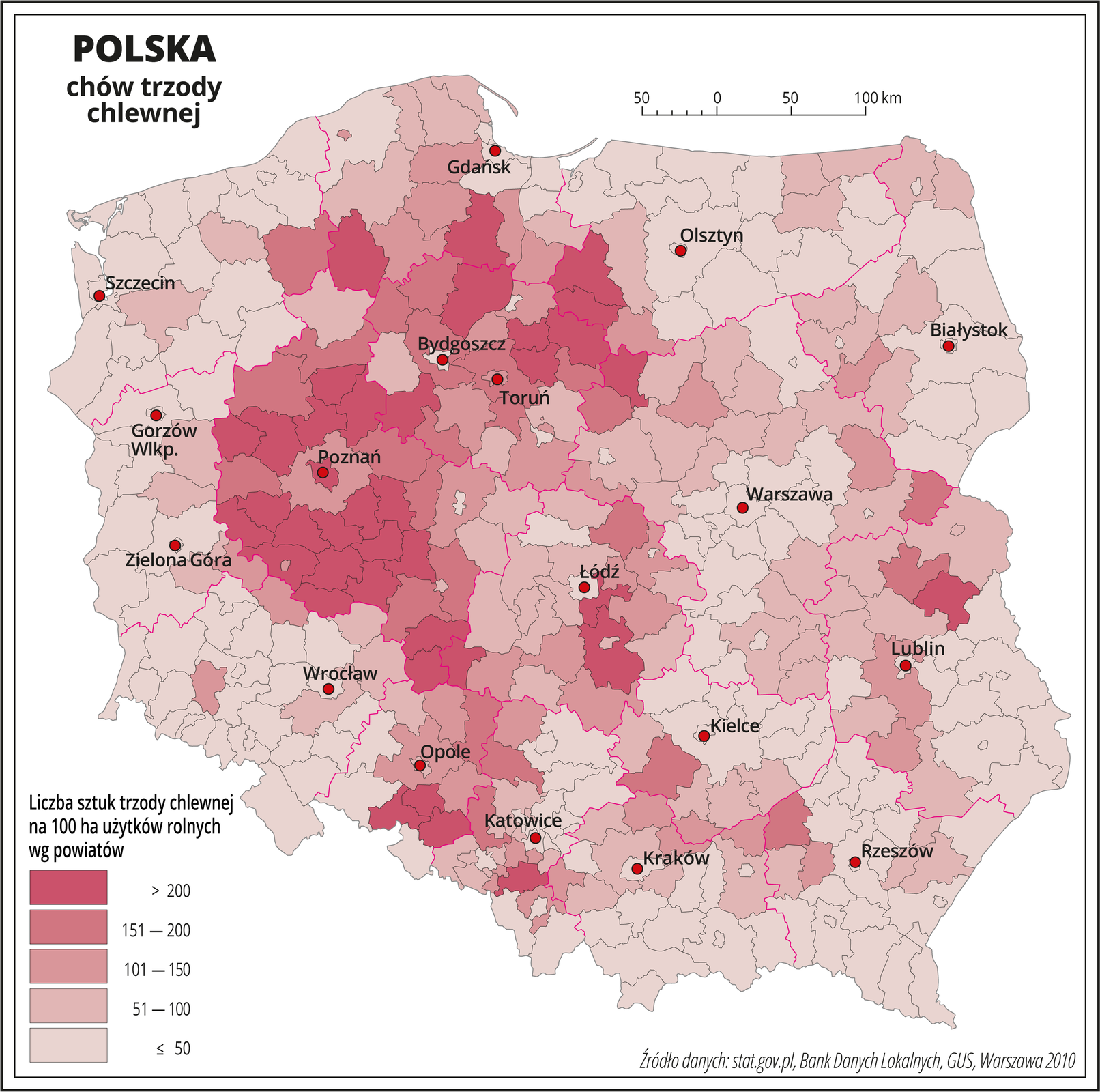 Ilustracja przedstawia mapę Polski z podziałem na powiaty, na której za pomocą kolorów przedstawiono liczbę sztuk trzody chlewnej na sto hektarów użytków rolnych wg powiatów. Na mapie czerwonymi liniami oznaczono granice województw, a czarnymi granice powiatów, czerwonymi kropkami oznaczono miasta wojewódzkie i je opisano. Najciemniejszym odcieniem koloru różowego oznaczono obszary, gdzie występuje powyżej dwustu sztuk trzody chlewnej na sto hektarów użytków rolnych. Jest to województwo wielkopolskie i kujawsko‑pomorskie. Bezpośrednio do tych obszarów przylegają powiaty oznaczone nieco jaśniejszymi odcieniami koloru różowego obrazującymi występowanie od stu do dwustu sztuk trzody chlewnej na sto hektarów użytków rolnych. Pozostałą – przeważającą część Polski oznaczono najjaśniejszymi odcieniami koloru różowego obrazującymi występowanie poniżej stu sztuk trzody chlewnej na sto hektarów użytków rolnych. Poniżej mapy w legendzie opisano kolory użyte na mapie.