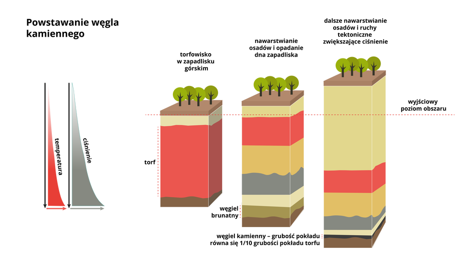 Grafika przedstawia powstawanie węgla kamiennego. Pierwszy przekrój przedstawia torfowisko w zapadlisku górskim. Na powierzchni rosną drzewa a w głębi znajduje się gruba warstwa torfu. Drugi przekrój przedstawia nawarstwianie osadów i opadanie dna zapadliska. Na powierzchni rosną drzewa. Grunt się podniósł. W głębi widoczne są warstwy, warstwa torfu jest cieńsza, na samym dole tworzy się węgiel brunatny. Trzeci przekrój przedstawia dalsze nawarstwianie osadów i ruchy tektoniczne zwiększające ciśnienie. Powierzchnia znajduje się wysoko ponad wyjściowy poziom obszaru. W głąb znajdują się warstwy, na samym dnie powstaje węgiel kamienny. Grubość pokładu równa się jednej dziesiątej grubości pokładu torfu. Znajdują się tu również dwa wykresy. Pierwszy przedstawia, że wraz ze spadkiem głębokości rośnie temperatura. Drugi przedstawia, że wraz ze spadkiem głębokości wzrasta ciśnienie.