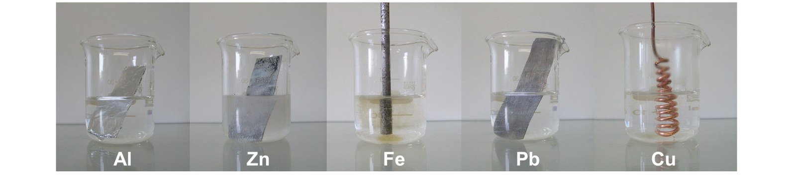 Na zdjęciu pięć zlewek z ciałami stałymi. W zlewkach jest kwas siarkowy. W pierwszej jest kawałek glinu, w drugiej kawałek cynku, w trzeciej kawałek żelaza, w czwartej - ołowiu, w piątej miedzi.