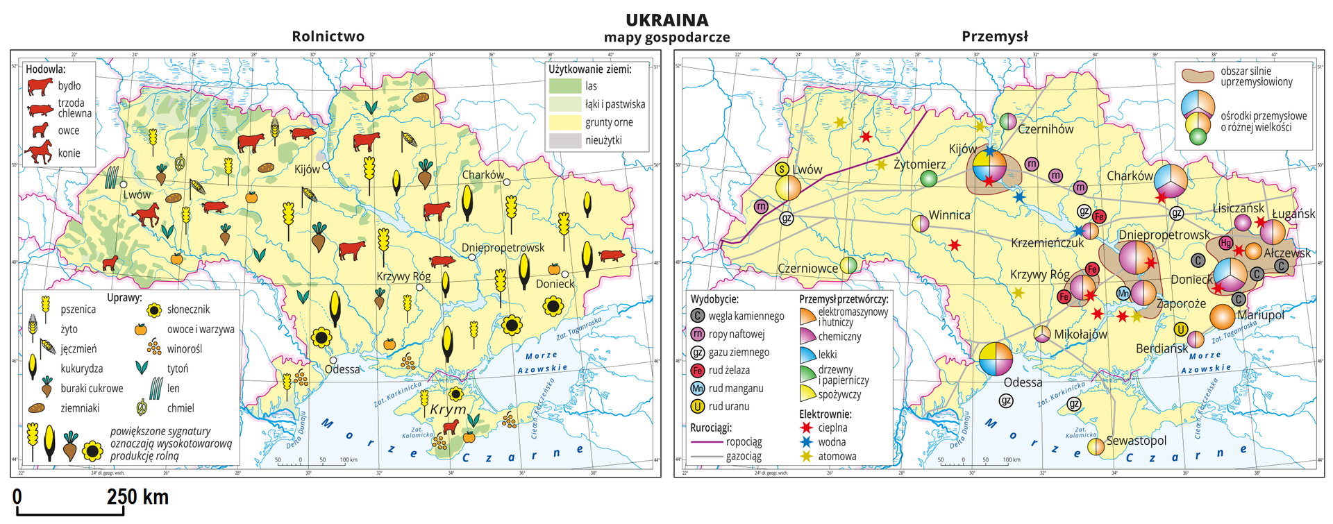 Ilustracja przedstawia dwie mapy gospodarcze Ukrainy. Mapa pierwsza – rolnictwo, mapa druga – przemysł. Na mapie rolnictwa tło w kolorze żółtym (grunty orne), jasnozielonym (łąki i pastwiska), zielonym (lasy) i szarym (nieużytki). Na mapie sygnatury obrazujące uprawy roślin (pszenica, żyto, jęczmień, kukurydza, buraki cukrowe, ziemniaki, słonecznik, owoce i warzywa, winorośl, tytoń, len, chmiel) oraz hodowlę zwierząt (bydło, trzoda chlewna, owce i konie). Powiększone sygnatury na wschodzie kraju oznaczają wysokotowarową produkcję rolną. Na mapie przemysłu sygnatury kołowe – ośrodki przemysłowe. Duże: Donieck, Dniepropetrowsk, Odessa, Kijów, kilkanaście mniejszych. Przemysł elektromaszynowy i hutniczy oraz chemiczny w przewadze, lekki drzewny i papierniczy oraz spożywczy. Kilka elektrowni cieplnych, wodnych i atomowych oznaczonych kolorowymi gwiazdkami, ropociąg i gazociąg oznaczone liniami. Sygnaturami oznaczone wydobycie węgla kamiennego, ropy naftowej, gazu ziemnego rud żelaza, manganu i uranu. Większość przemysłu i wydobycia skupiona jest na wschodzie kraju. Kolorem brązowym oznaczono obszary silnie uprzemysłowione. Obejmują one duże miasta. Obie mapy zawierają południki i równoleżniki, dookoła map w białych ramkach opisano współrzędne co dwa stopnie.